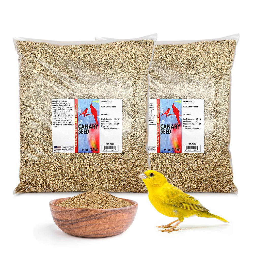 Vue du paquet Morning Bird Graine de Canari 2-pack prêt à utiliser