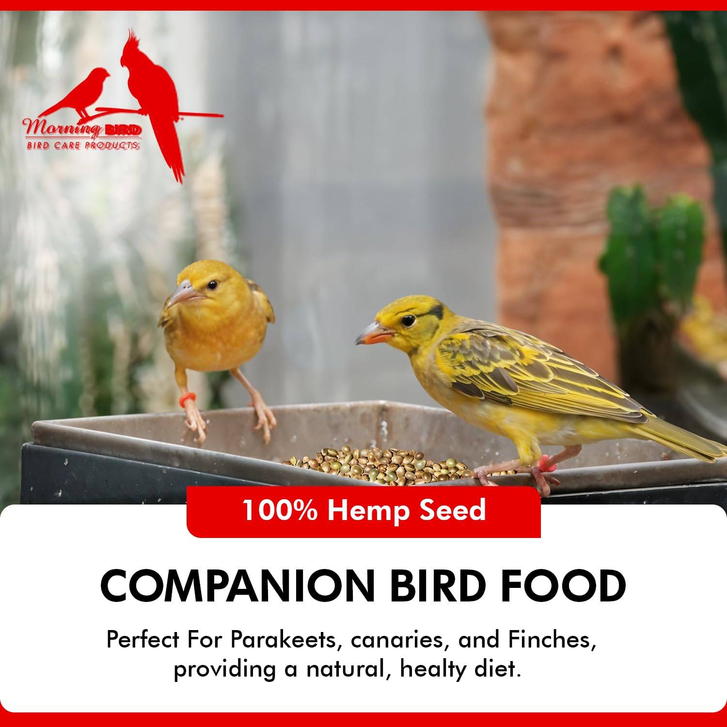 Morning Bird Graines de chanvre — origine USA et sans additifs.