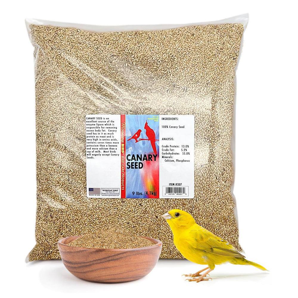 Morning Bird Graines de canari – nutrition riche pour oiseaux actifs