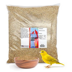 Morning Bird Graines de canari – nutrition riche pour oiseaux actifs
