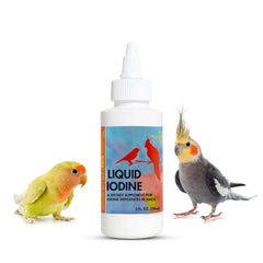 Morning Bird iode liquide, bouteille 2onces, soutien potentiel au plumage.
