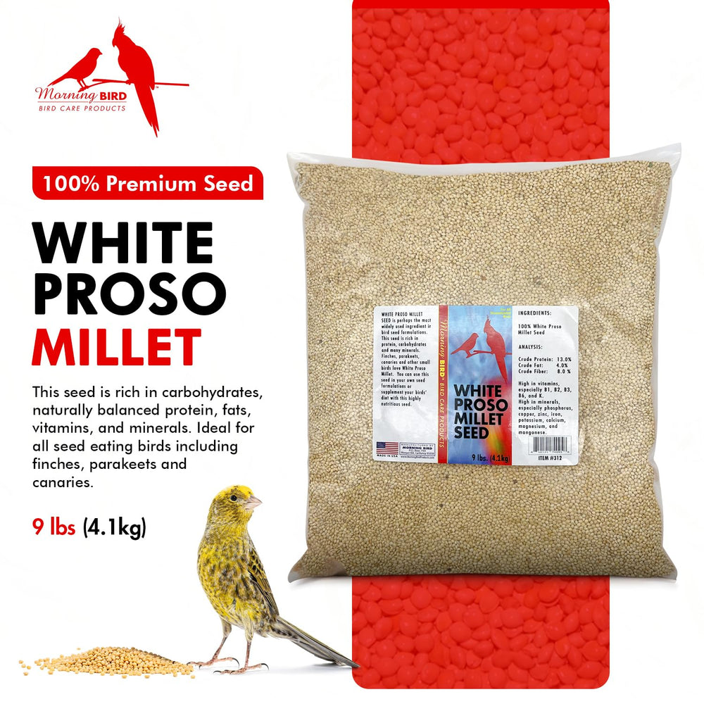 Morning Bird Millet Blanc Proso – grains lumineux pour une alimentation saine des oiseaux.