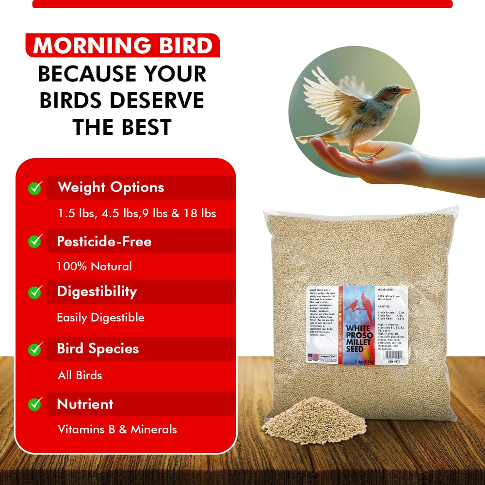 Morning Bird Millet Blanc Proso – utilisation quotidienne facile, sans pesticides ni additifs.