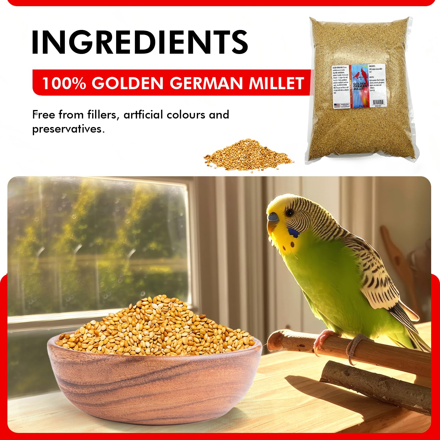 Morning Bird Millet doré, alimentation quotidienne pour oiseaux en énergie naturelle.