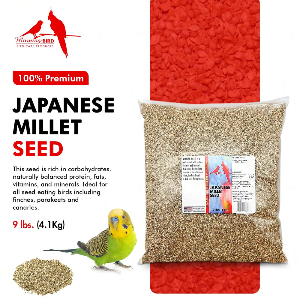 Morning Bird Millet Japonais - Graines faciles à digérer pour oiseaux