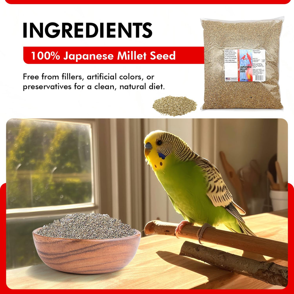 Morning Bird Millet Japonais - Nutrition complète et équilibrée pour oiseaux