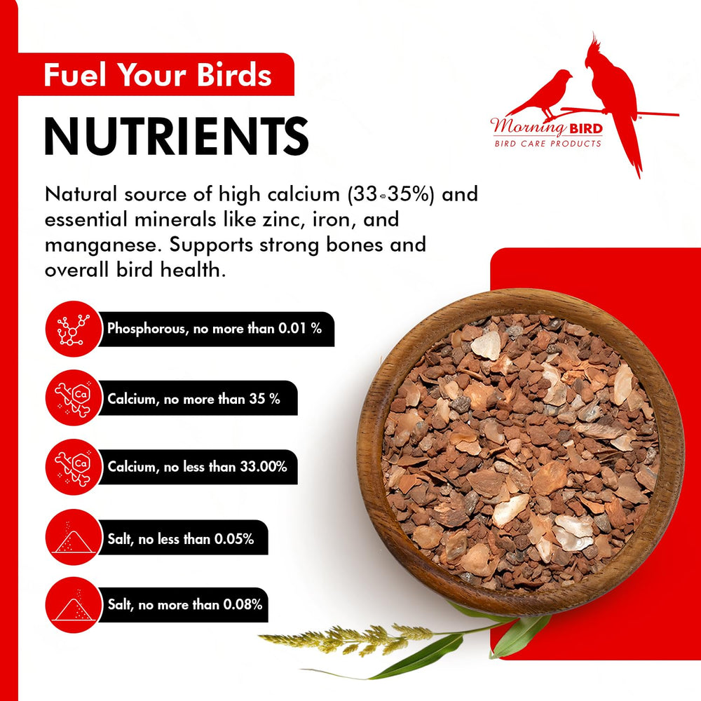 Morning Bird Pigeon Grit grains nutritifs visibles nourrissent les pigeons et apportent des minéraux.