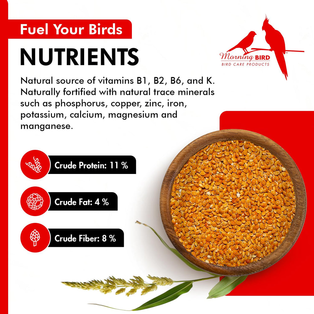 Morning Bird Millet Rouge Proso bol — facile à servir lors des repas.