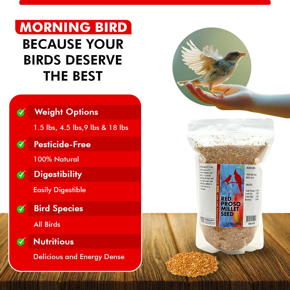 Morning Bird Millet Rouge Proso utilisation quotidienne — enrichit les routines d'alimentation.