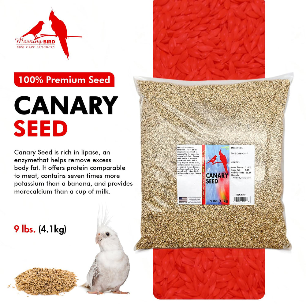 Morning Bird Protéines 13% – soutien musculaire des oiseaux