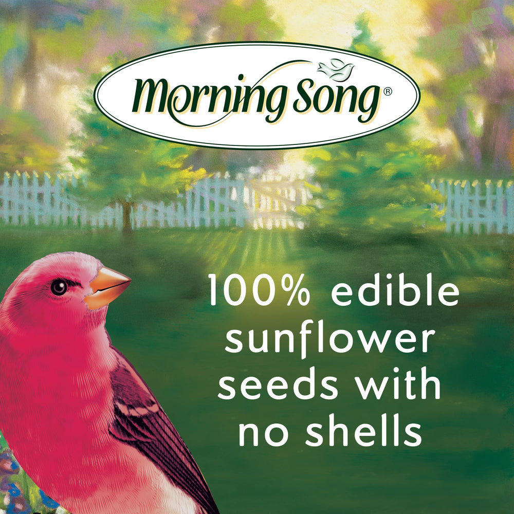 Morning Song Cœurs de Tournesol sans coquilles dans un sac, nettoyage facilité.
