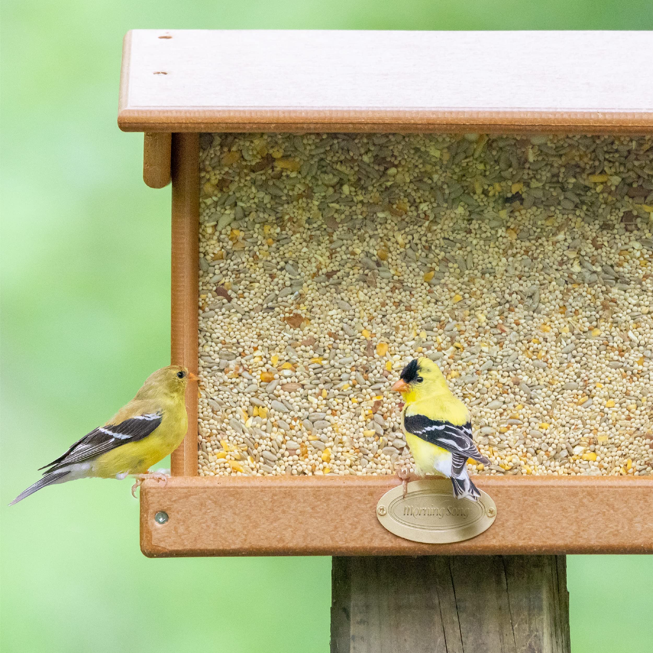 Morning Song mangeoire tube et plateau compatibles – adaptabilité pour plusieurs types d'alimentation.