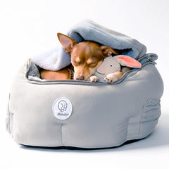 Morulini siège-auto pour petit chien avec soutien orthopédique et confort durable.