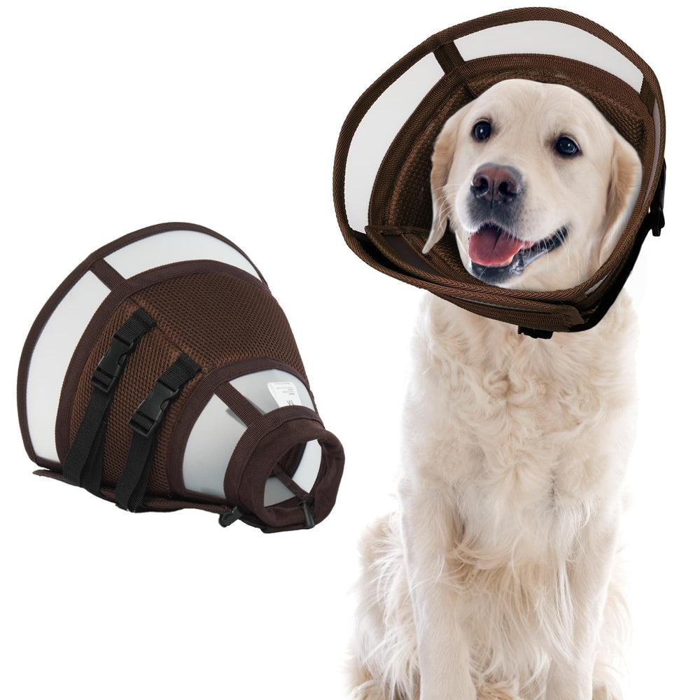 MORVIGIVE collier é lisabéthain grand chien, vue avant; protection postopératoire.