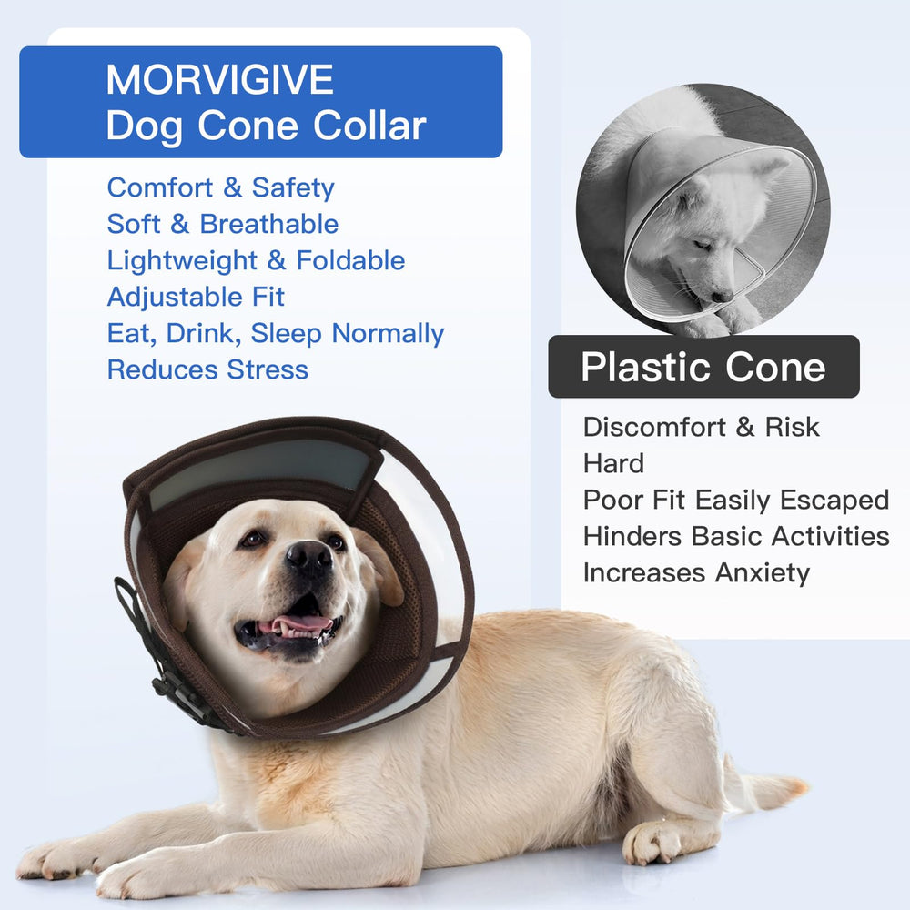 MORVIGIVE collier-cone é lisabéthain grand, soutien au rétablissement lors des soins.