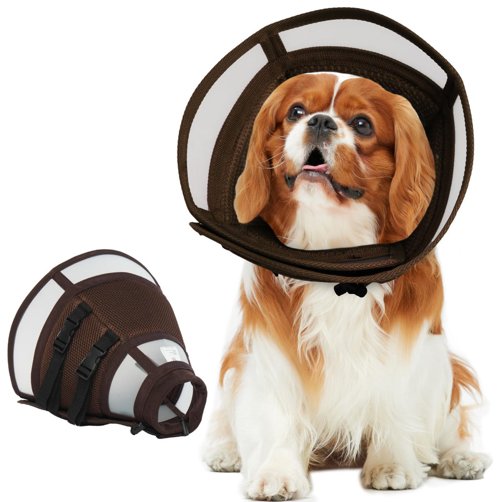 MORVIGIVE collier élisabethain pour petit chien, protection post-chirurgie.