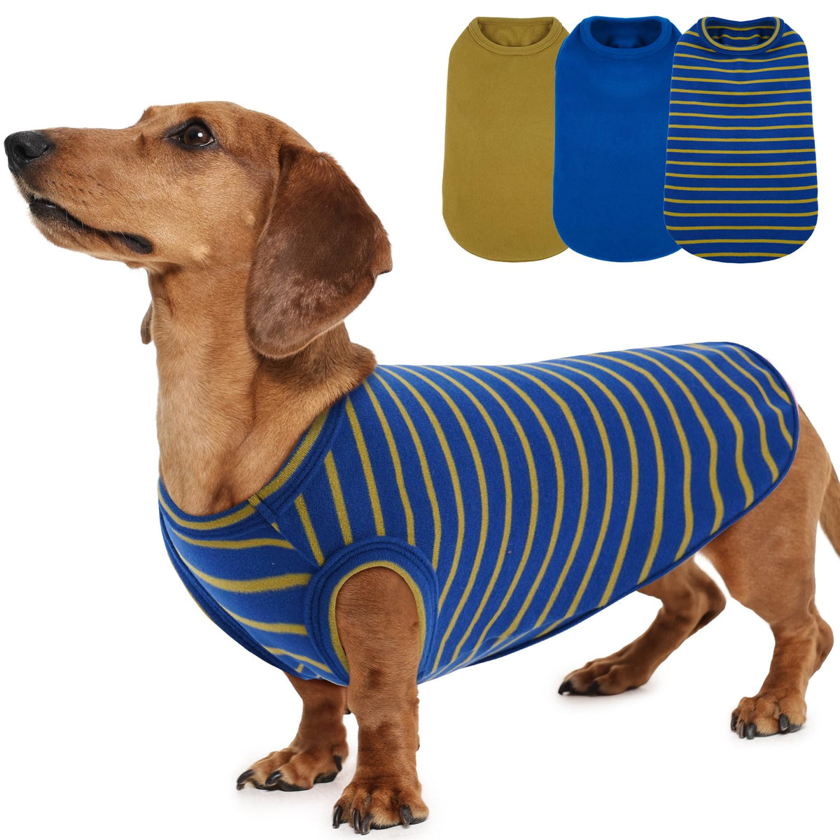 MORVIGIVE pull polaire bleu rayé pour chien, chaleur et confort lors des balades hivernales
