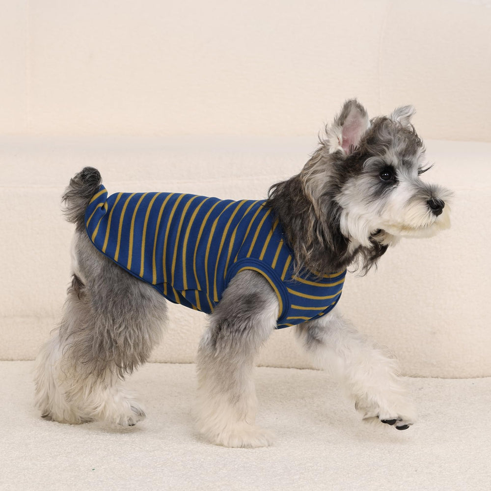 MORVIGIVE pull confortable lors des balades offrant liberté de mouvement chien
