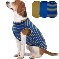 MORVIGIVE trio de pulls pour chiens moyens bleu rayures prêt pour l'hiver