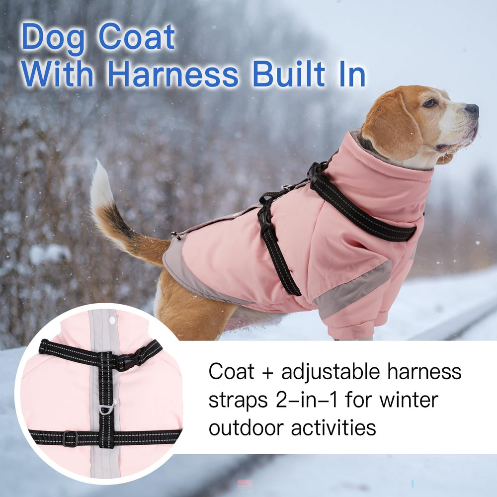 Morvigive veste hiver chien imperméable et coupe-vent pour jours froids.