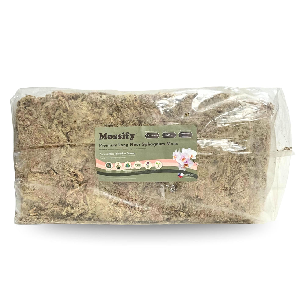 Mossify Premium Sphagnum pour plantes d'intérieur, retient l'humidité pour des racines saines.