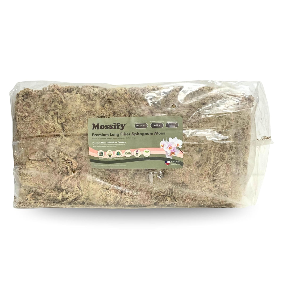 Mossify Premium Sphagnum pour plantes d'intérieur, retient l'humidité pour des racines saines.