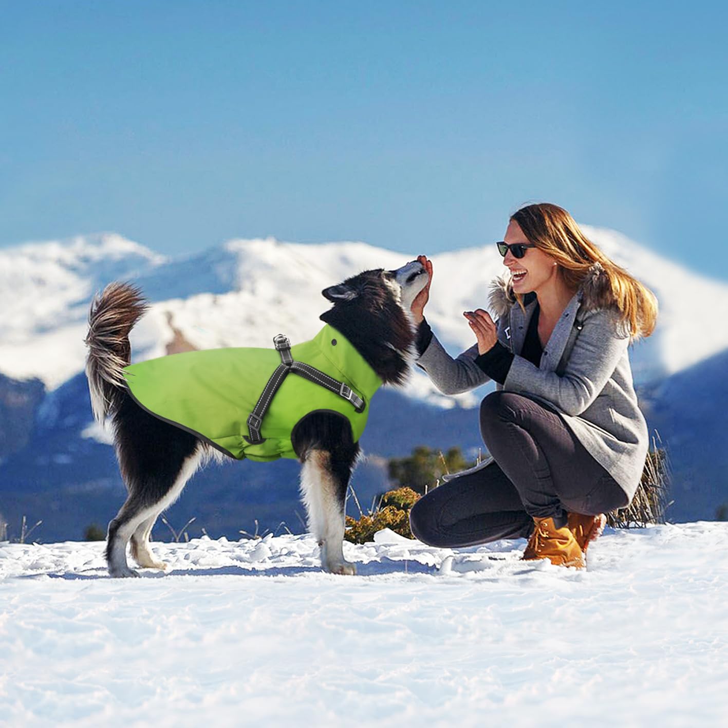 Mosucoirl guide des tailles chien pour ajustement sûr