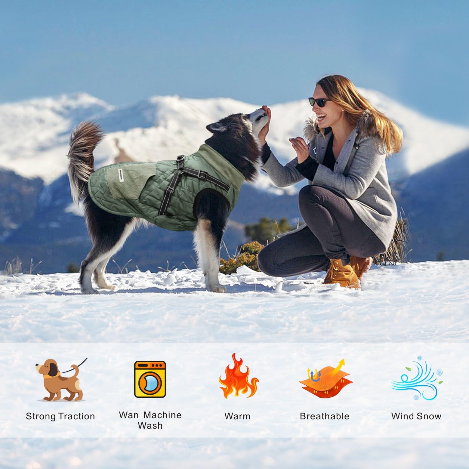 Mosucoirl harnais amovible chien facilite traction ou jeu