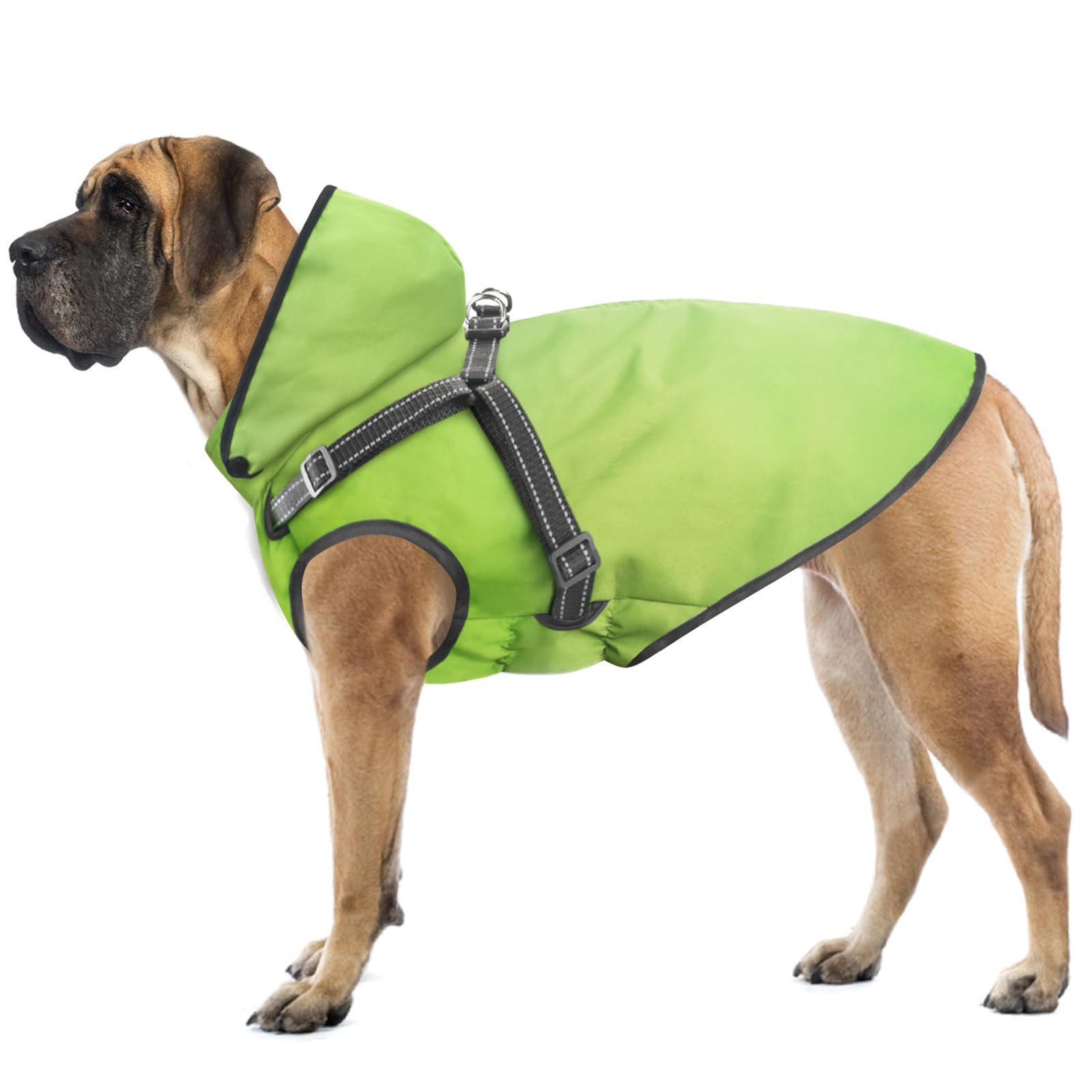 Mosucoirl imperméable pour chien avec capuche amovible, protection contre la pluie