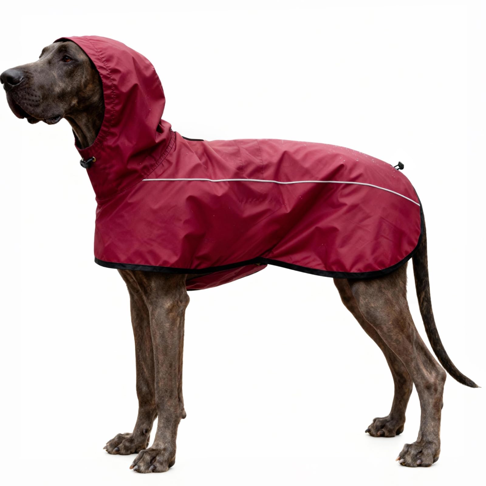 Mosucoirl imperméable chien avec capuche reglable pour sorties pluvieuses