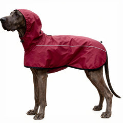 Mosucoirl imperméable chien avec capuche reglable pour sorties pluvieuses