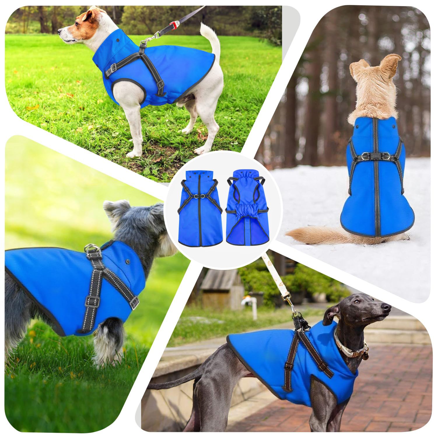Mosucoirl ouverture pour laisse – permet une promenade fluide sous la pluie