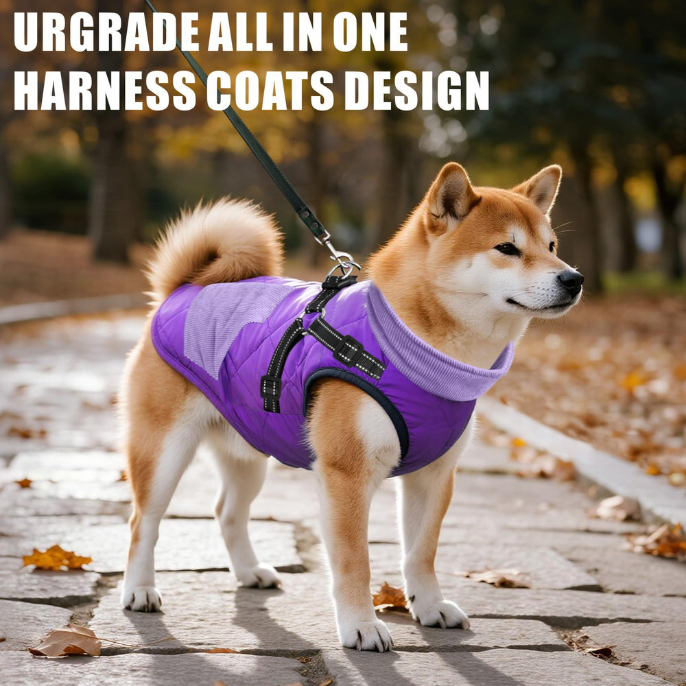Mosucoirl manteau chien chaud violet XXL, vue arrière, coupe adaptée pour grand chien en mouvement.