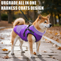 Mosucoirl manteau chien chaud violet XXL, vue arrière, coupe adaptée pour grand chien en mouvement.