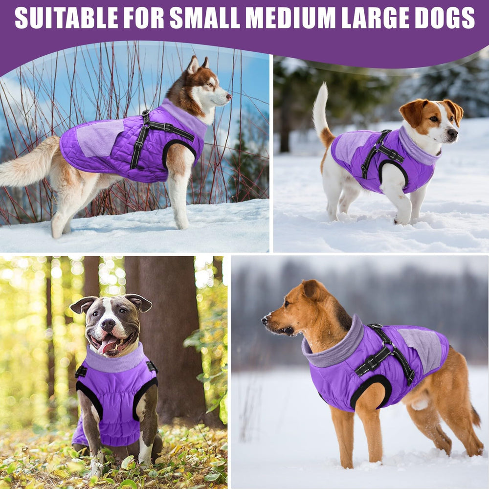 Mosucoirl manteau chien violet XXL, doublure polaire chaude assure chaleur et douceur.