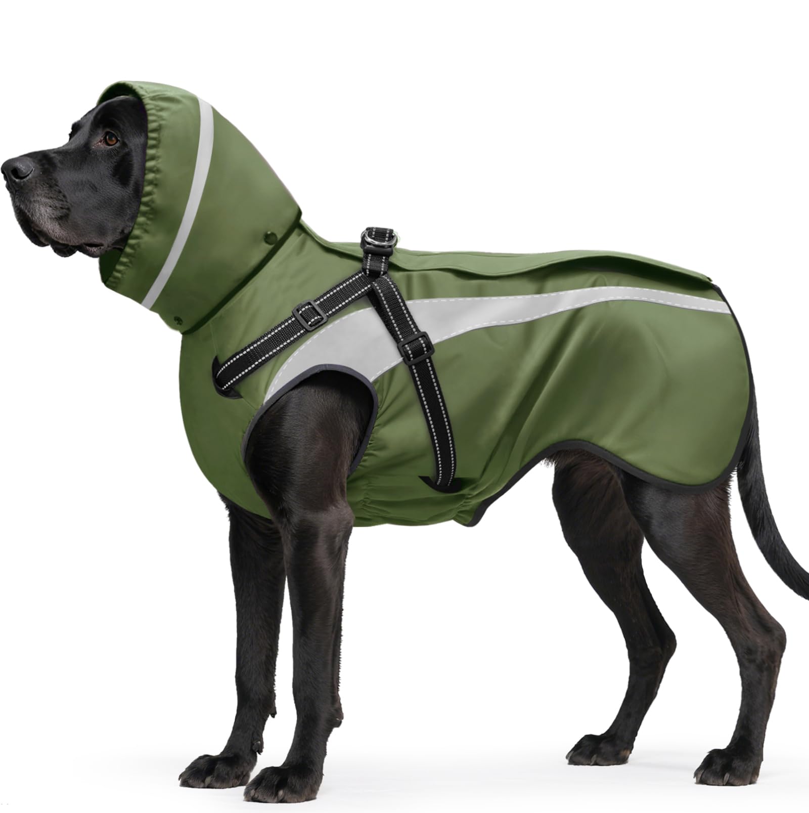 Mosucoirl manteau chien vert face, protection imperméable pour sorties sous la pluie.