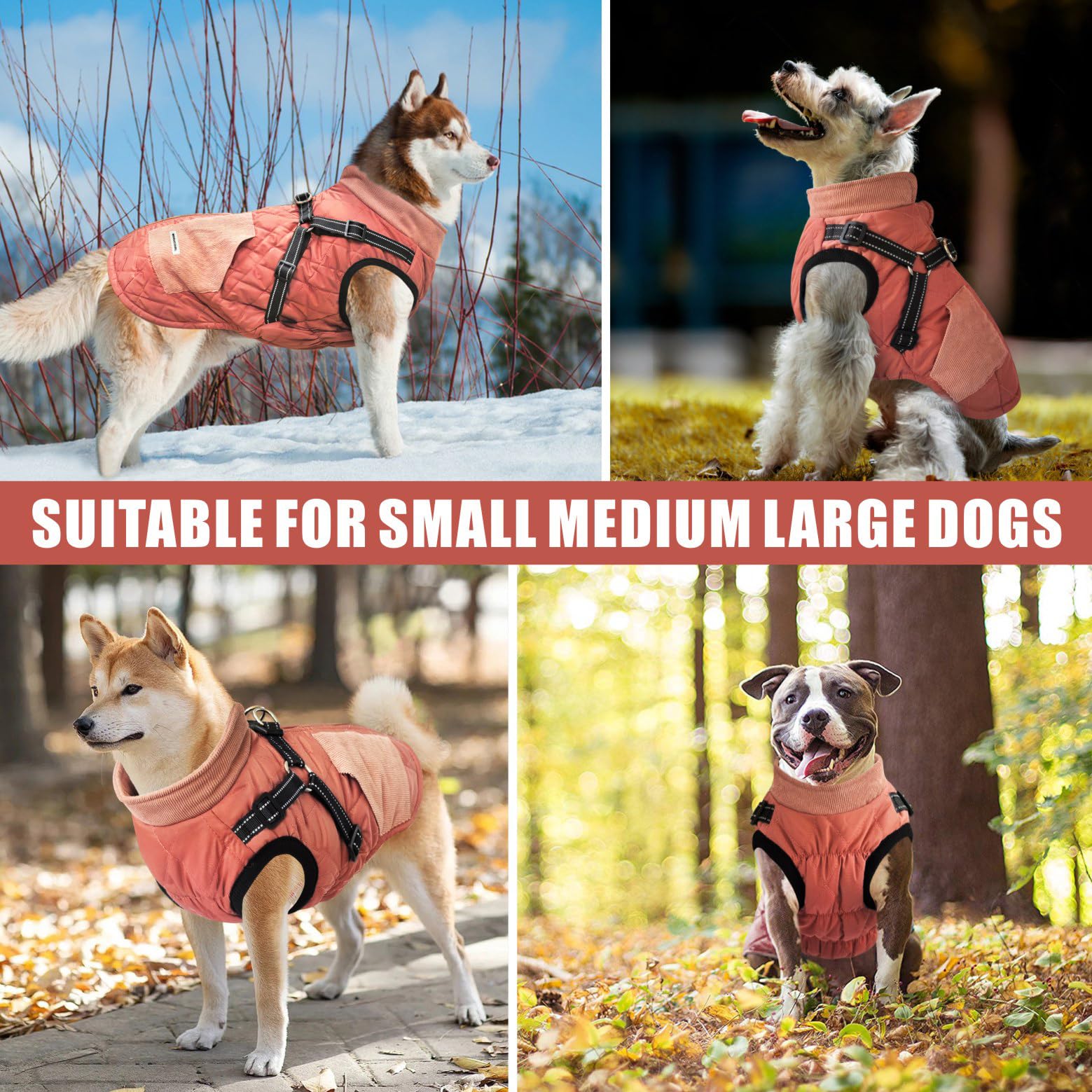 Mosucoirl veste chien doublure polaire pour chaleur douce lors des sorties.
