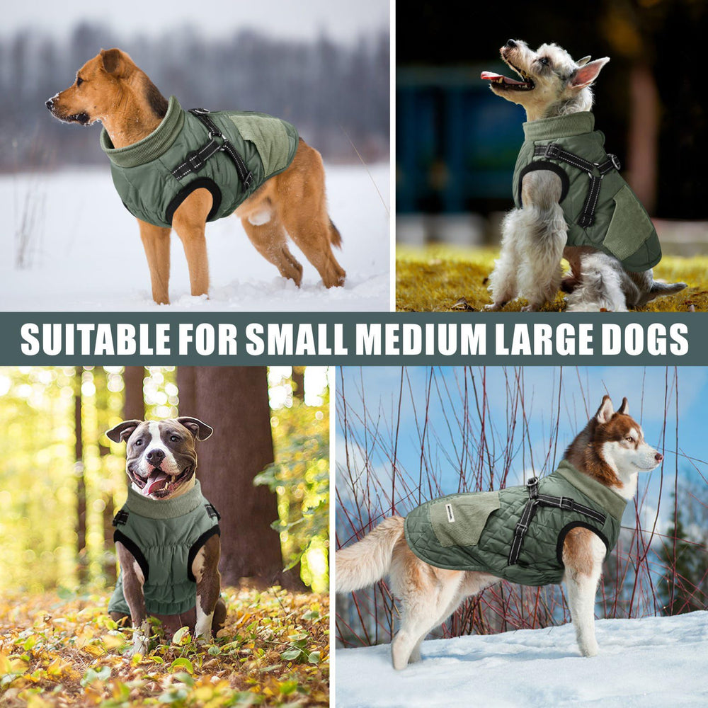 Mosucoirl veste chien reflectante pour visibilite nocturne