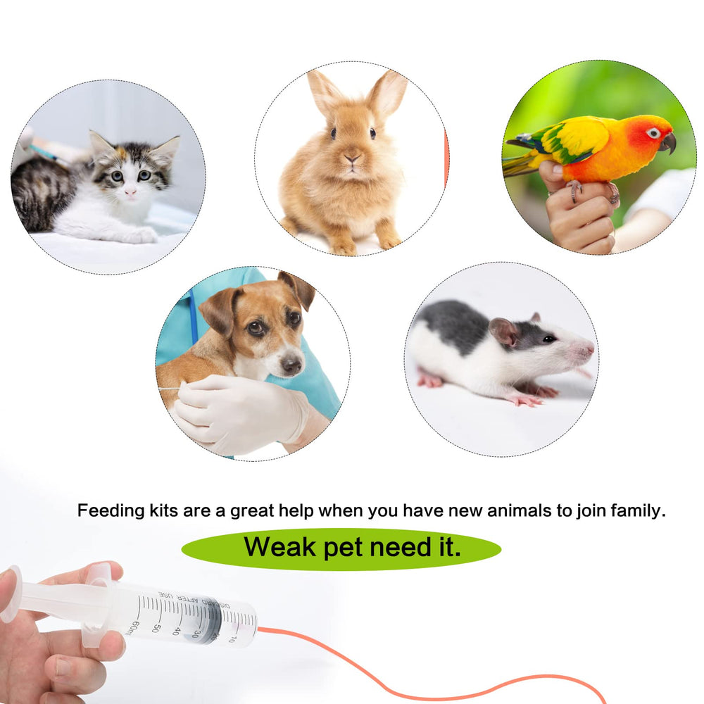 Motain seringues 30ml pour une alimentation adaptée aux chiots et chatons.