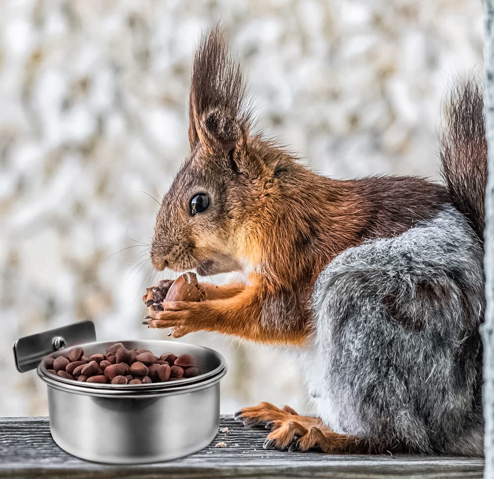 MotBach-bol-cage-oiseaux, idéal pour nourrir et abreuver.