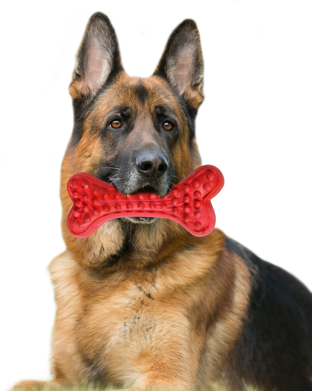 Motusamare os dur goût boeuf, idéal pour grands chiens, stimulation de la mastication et plaisir durable.