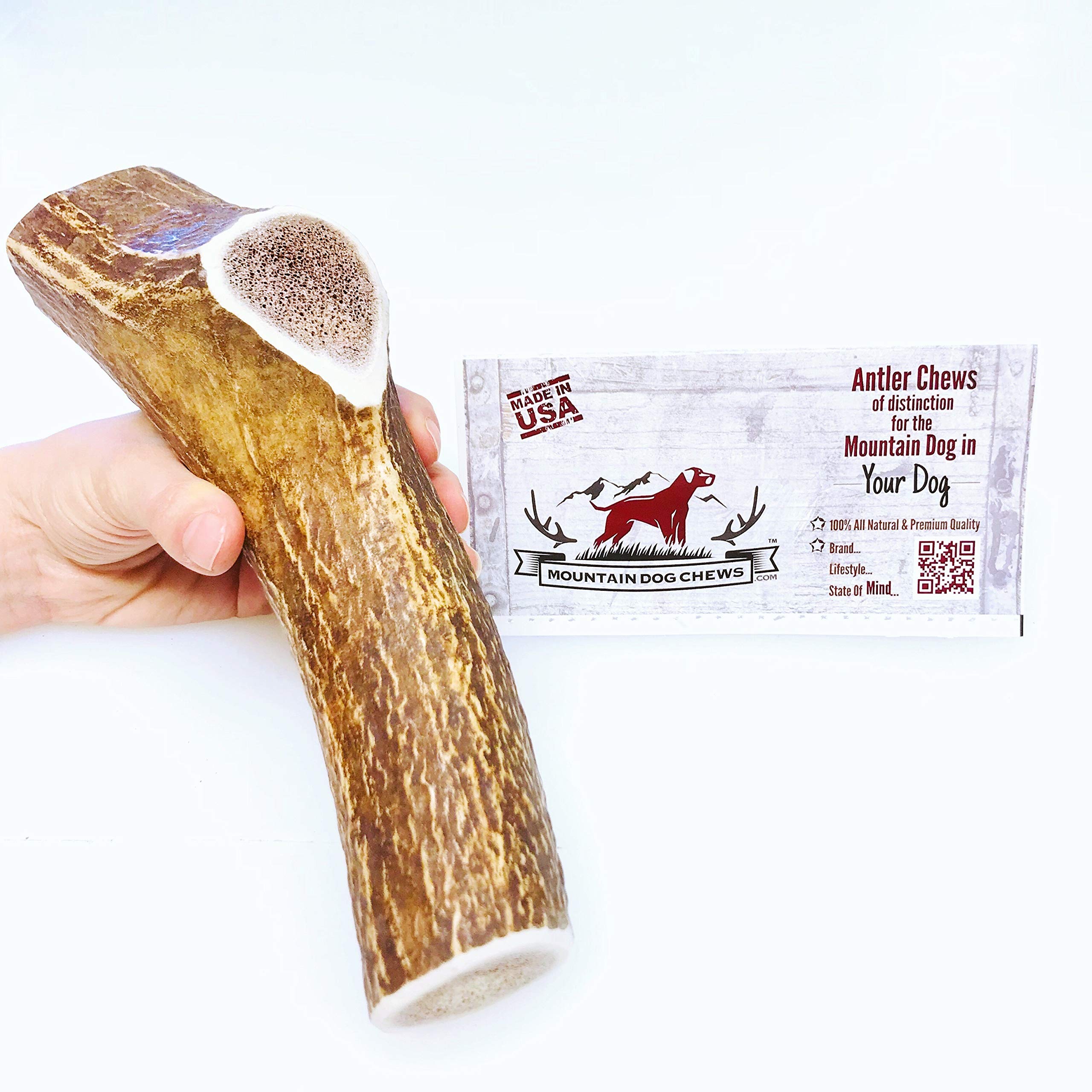 Mountain Dog Chews bois de cerf élan, mastication longue pour chiens actifs