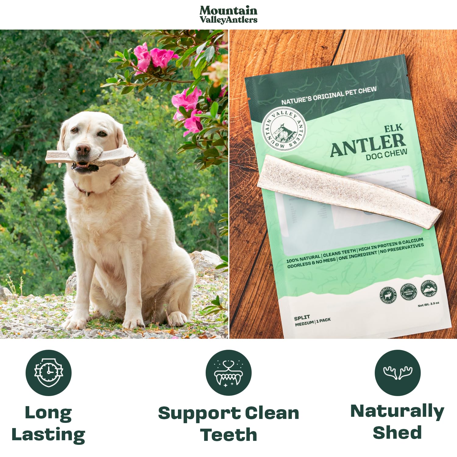 Mountain Valley Antlers chien-mastication : chien heureux, sans odeur