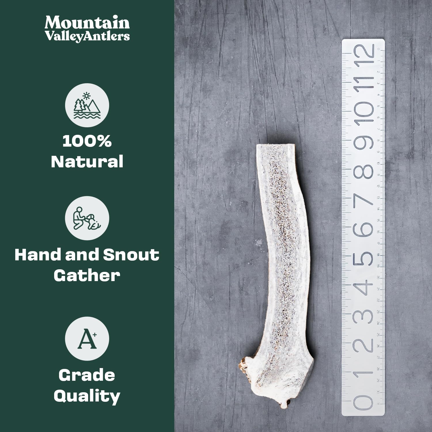 Mountain Valley Antlers ramure cervidienne tranchée moyenne : idéale pour mâcher durablement