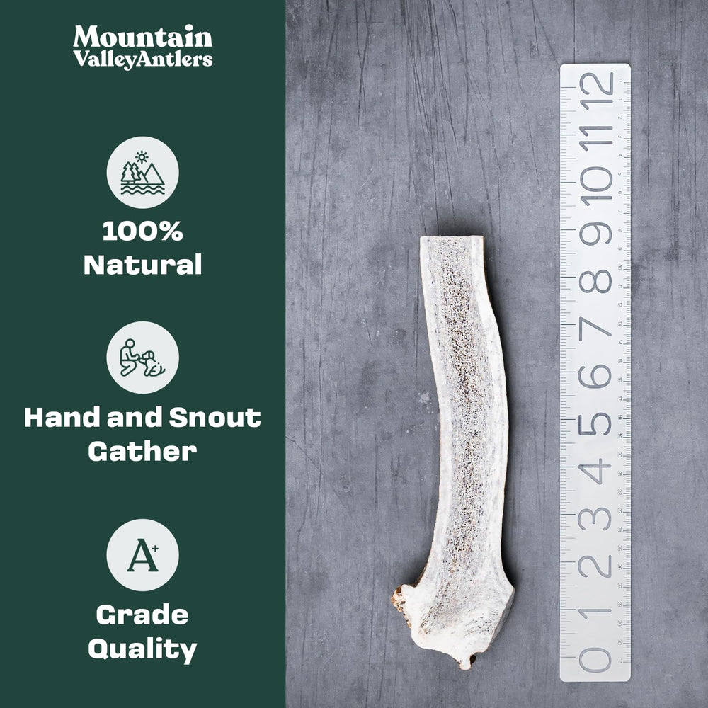 Mountain Valley Antlers ramure cervidienne tranchée moyenne : idéale pour mâcher durablement