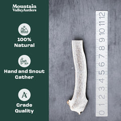 Mountain Valley Antlers ramure cervidienne tranchée moyenne : idéale pour mâcher durablement
