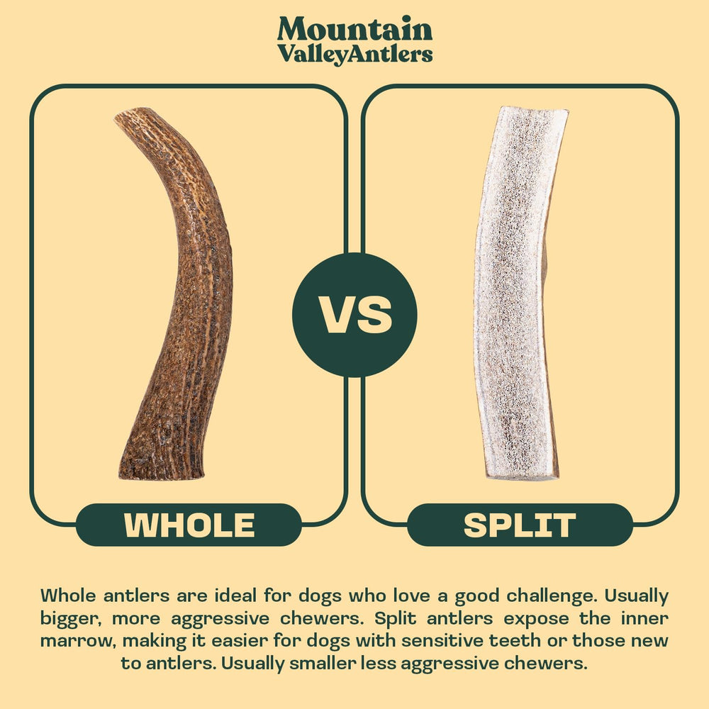 Mountain Valley Antlers utilisation intérieur sans dégâts, parfait pour les espaces réduits.