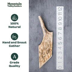 Mountain Valley Antlers – os d'élan naturel sans odeur pour usage intérieur et extérieur.