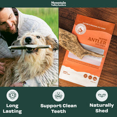 Mountain Valley Antlers – os d'élan durables pour mâchage prolongé et hygiène dentaire.