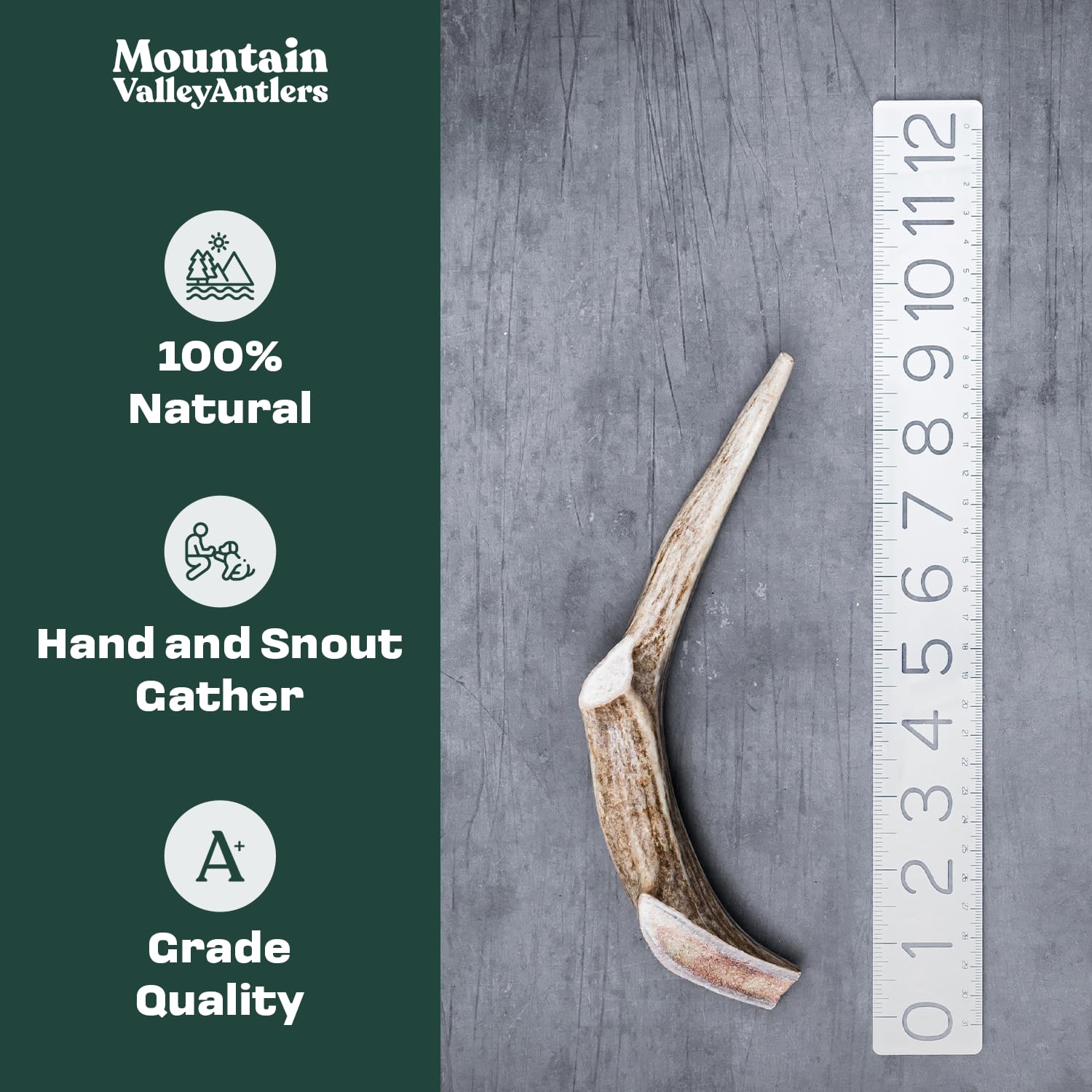 Mountain Valley ramure de cerf – texture naturelle favorisant une mastication efficace.